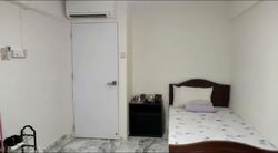 Cambridge Road (Kallang/Whampoa), HDB 3 Rooms #559173641